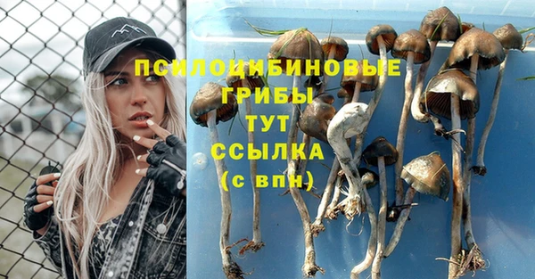 твердый Балабаново