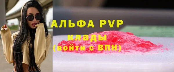 спиды Аркадак