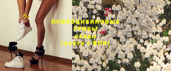 спиды Аркадак